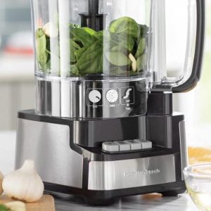 best food processors under $100