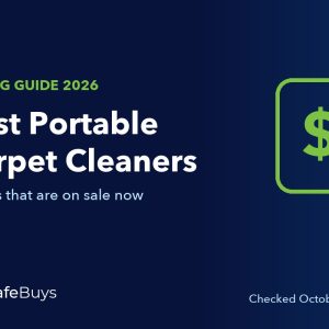 Best Portable Carpet Cleaners in 2026